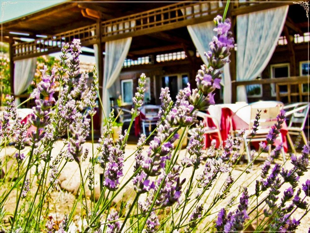 Hotel Miramare Bosa Marina Kültér fotó